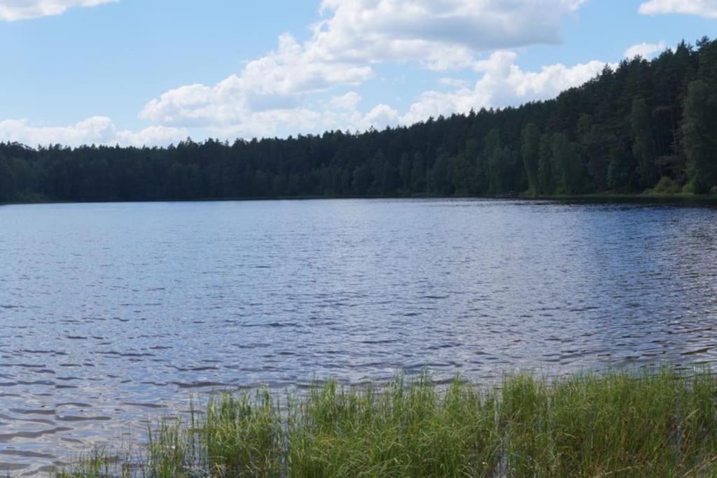 Domek Nad Jeziorem Kaszuby Max 6 Os Bieszkowice Eksteriør bilde